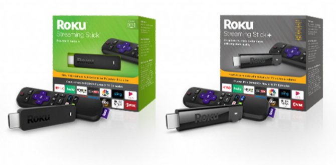 roku streaming stick and stick 100738821 large 670x330 - Roku Streaming Stick and Stick+ review: A new remote makes a big difference