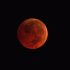 Super Blue Blood Moon 70x70 - Tech Expenditure in India to Increase by 12% in 2018: Report