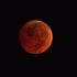 Super Blue Blood Moon 70x70 - 14 IIT Students Receive ‘Young Engineer And Scientist’s Award, USD 3000 Scholarship