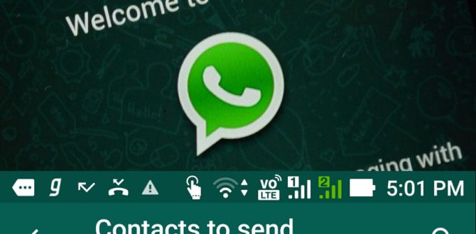 WhatsApp Update 670x330 - WhatsApp Now Allows iPhone Users to Play YouTube Videos in Chats