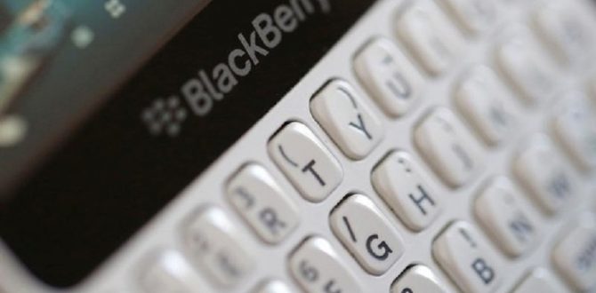 blackberry 670x330 - BlackBerry Launches Cybersecurity Software For Self-Driving Cars