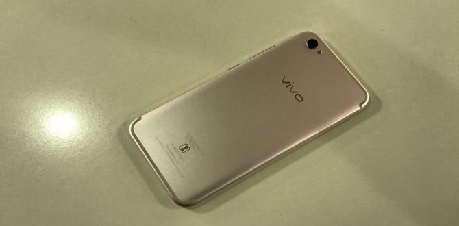 vivo v5 plus 1 670x330 - Vivo Opens Online Store in India