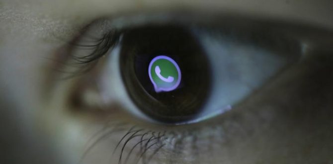 whatsapp 5 670x330 - Researchers Locate Android Spyware That Can Steal WhatsApp Messages