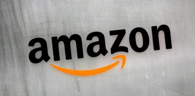 Amazon Westland 2 670x330 - Amazon Paid $90 Million For Camera Maker’s Chip Technology: Sources