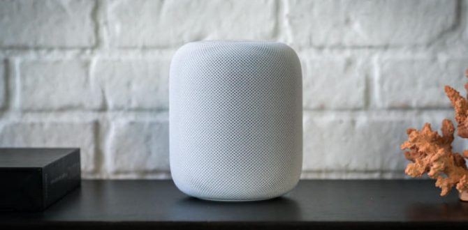 homepod primary 02 100749174 large 670x330 - 6 improvements HomePod needs to compete