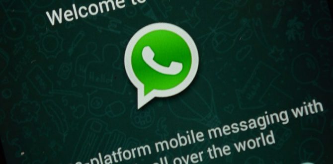 whatsapp AFPrelax 670x330 - WhatsApp Payment Public Launch Only After Meeting All Norms: NPCI