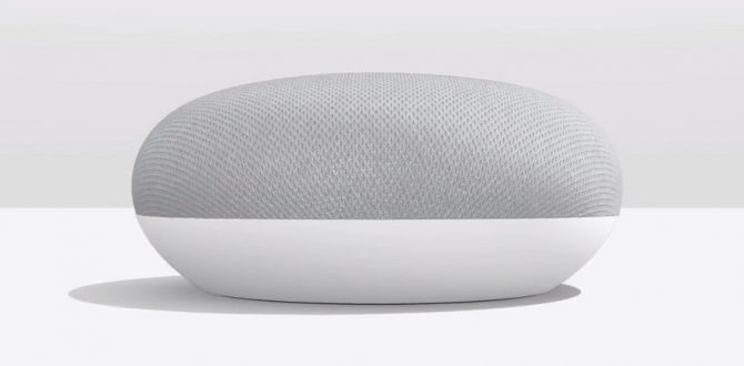 Google Home Mini 1 670x330 - Google Home, Home Mini Launched in India Starting at Rs 4,999; Now Available on Flipkart