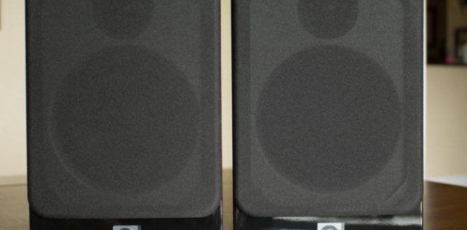 concept 20 primary 100754784 large 670x330 - Q Acoustics Concept 20 loudspeaker review: These gorgeous bookshelf speakers sound positively divine