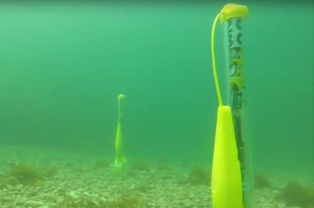 swarmdiver - Descent of the Machines: Aussie firm boasts of underwater drone swarms