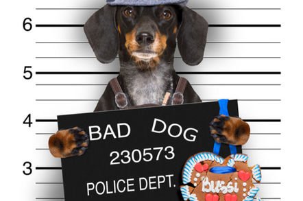 shutterstock custody image - Super Cali goes ballistic: mugshot site atrocious